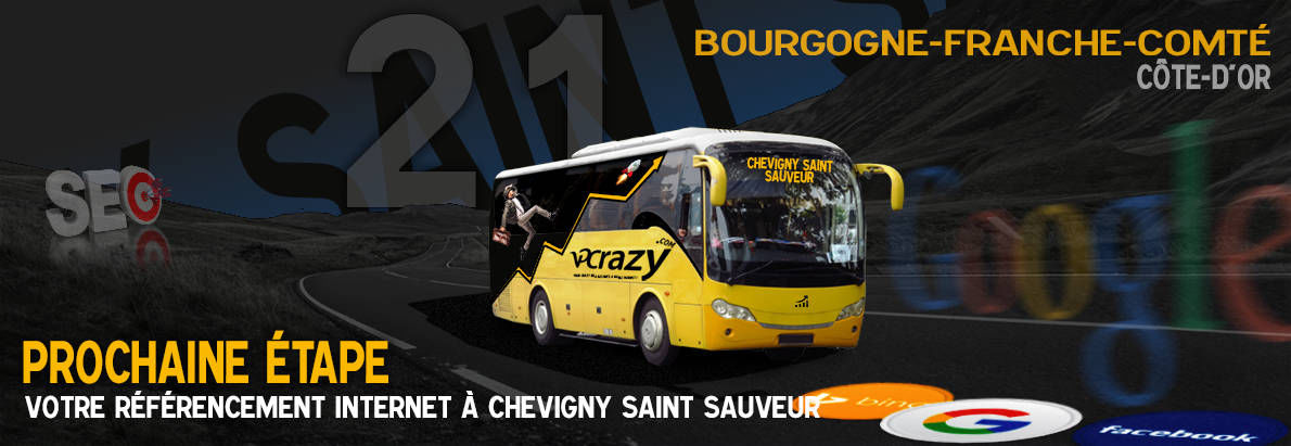 Agence SEO Google Chevigny-Saint-Sauveur