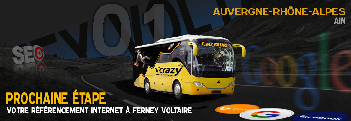 Agence SEO Google Ferney-Voltaire