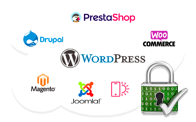 Site WordPress, site Internet Prestashop de l'Agence Web VPCrazy